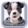 Juxtaposer App Logo