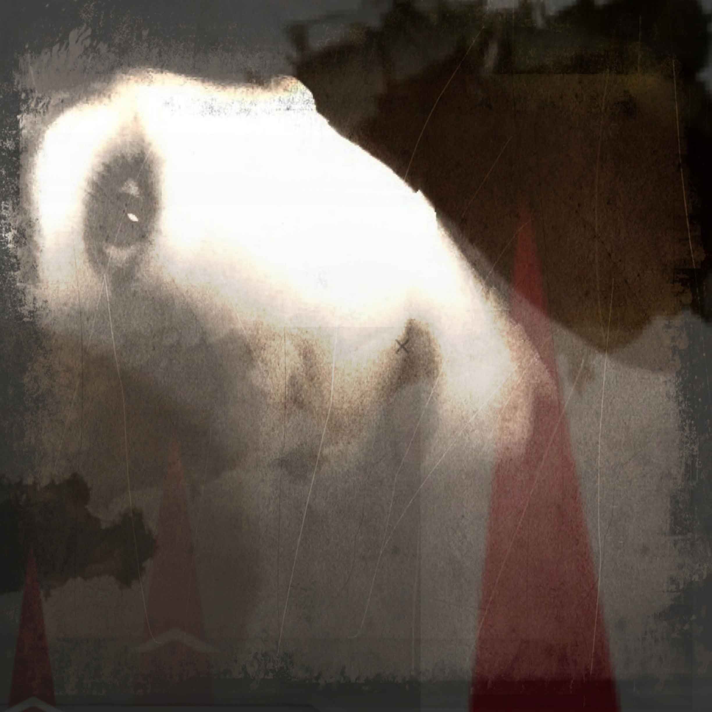 Jen Bracewell