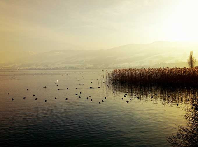 1142_Föllmi_1144Water_MPA007