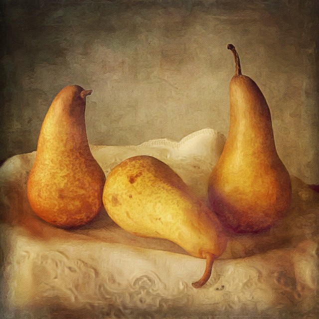 STILL LIFE - Mobile Photography Awards